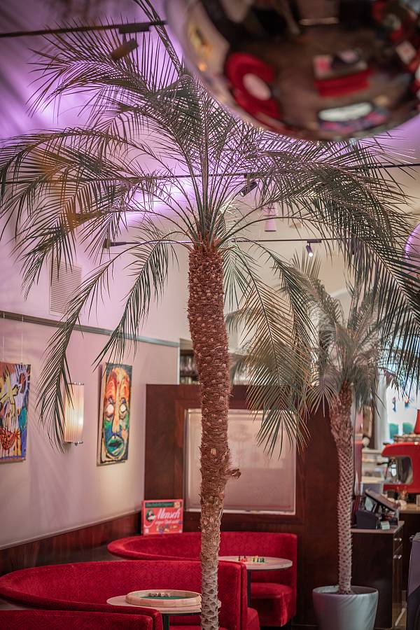 Projekte/cafemuseum/1v7a8107_1597669664.jpg